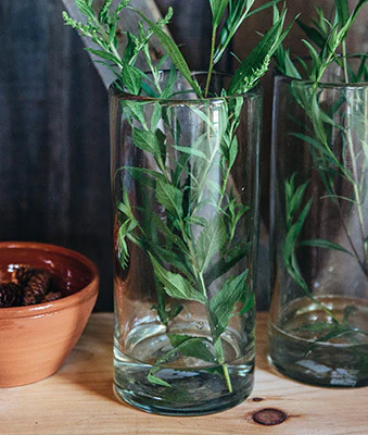 Glass Cylinder Vase - Image 3